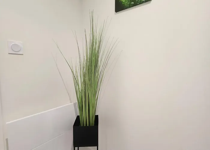 Longsap, Paisible * Seysses