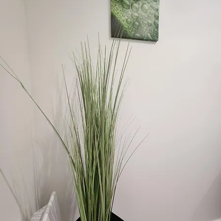 Longsap, Paisible * Seysses